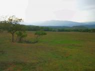 Нагірне з panoramio.com