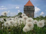 Скалат з panoramio.com