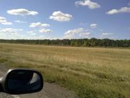Зелений Барвінок з panoramio.com