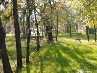 Корсунці з panoramio.com