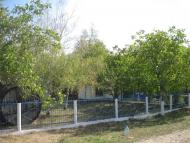 Лісне з panoramio.com