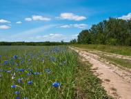 Студенець з panoramio.com