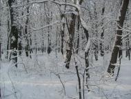 Знам'янка з panoramio.com