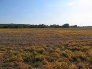 Ямпіль з panoramio.com