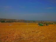 Віліне з panoramio.com