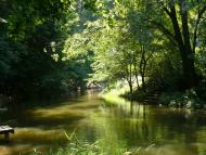 Вари - Останні фото