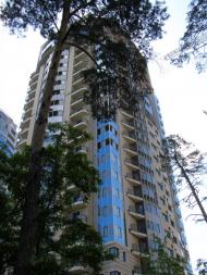 Петропавлівська Борщагівк з panoramio.com