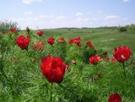 Марківське - Останні фото