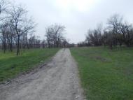 Краснодон з panoramio.com (ч.2)