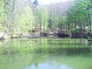 Стройне з panoramio.com