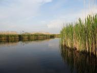 Сваловичі - Останні фото