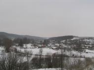 В'язівок з panoramio.com