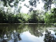 Потоки з panoramio.com