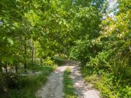 Станично-Луганське з panoramio.com (ч.2)