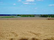 Стебне - Останні фото