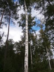 Кумейки з panoramio.com