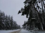 Мартинівка - Останні фото