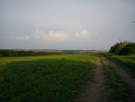 Долинівка - Останні фото