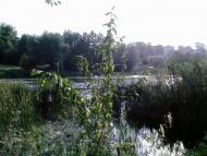 Богуслав з panoramio.com