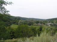 В'язівок з panoramio.com