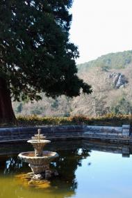 Масандра з panoramio.com