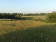 Чарівне - Останні фото