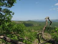 Нагірне з panoramio.com