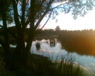 Масківці з panoramio.com