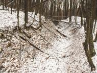 Забрідь з panoramio.com