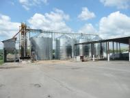 Olgopil - Latest photos