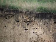 Закітне - Останні фото