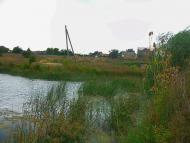 Шевченкове з panoramio.com