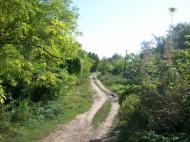 Вовчок з panoramio.com