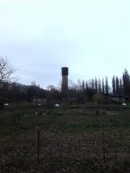 Глеваха з panoramio.com