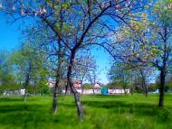 Снігурівка з panoramio.com