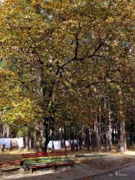 Іршанськ з panoramio.com