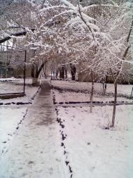 Миколаївка з panoramio.com (ч.2)