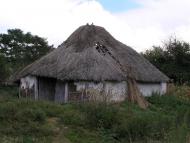 В'язівок - Останні фото