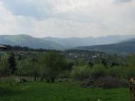 Делятин з panoramio.com