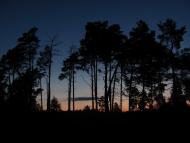 Губин з panoramio.com