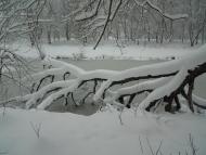 Козятин з panoramio.com