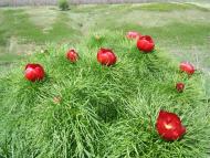 Марківське - Останні фото