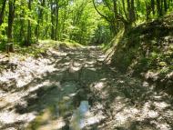 Високе з panoramio.com