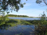 Сваловичі - Останні фото