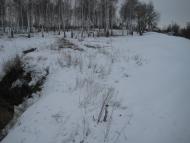 Срібне - Останні фото