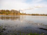 Plischyn - Latest photos