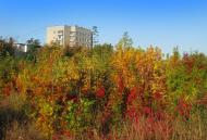 Затишшя з panoramio.com