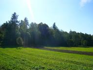 Задорожок - Останні фото