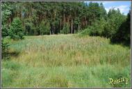 Березівка з panoramio.com