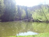 Стройне з panoramio.com